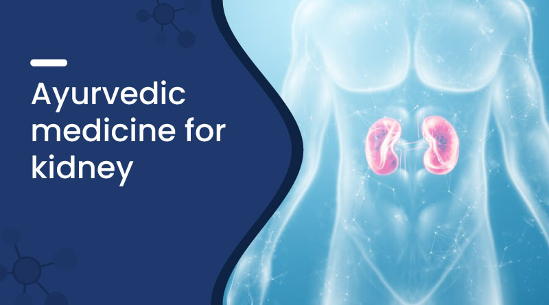 Ayurvedic Medicine for Kidney