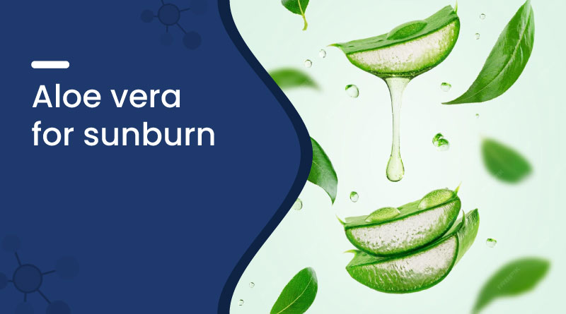 Aloe Vera for Sunburn