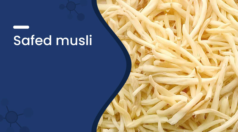 Safed Musli