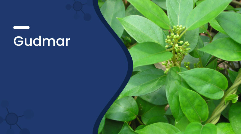 Gudmar for Diabetes – Benefits, Uses, Dosage & Side Effects